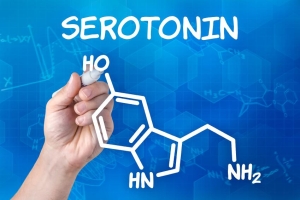 bdnf serotonina