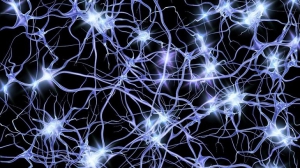 adicción neuronas conectadas