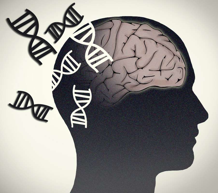 genética molecular cerebral