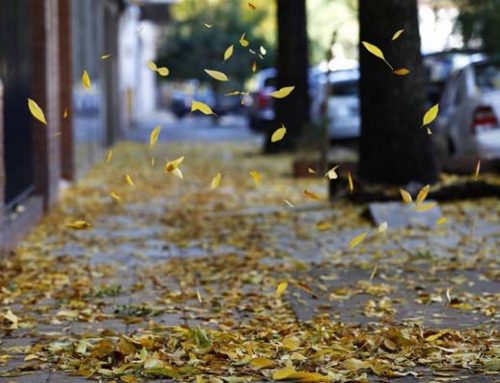 Los trastornos afectivos y el otoño