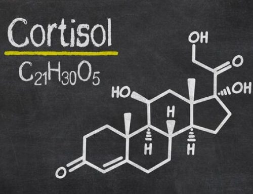 La historia del cortisol… y el estrés